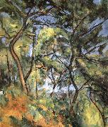 forest Paul Cezanne